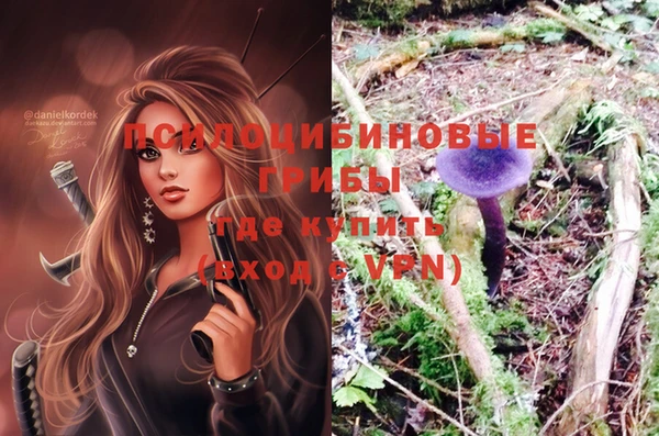 a pvp Алексеевка