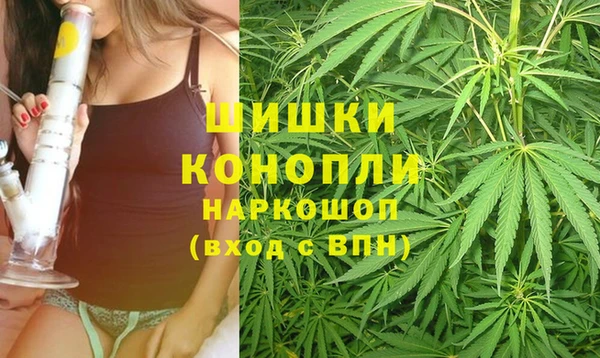 spice Новодвинск