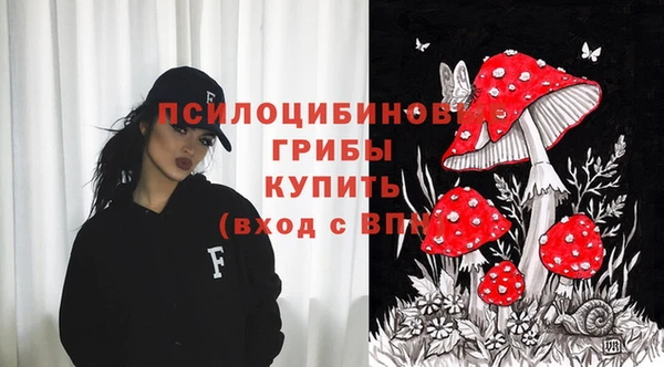 spice Новодвинск