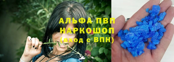 spice Новодвинск