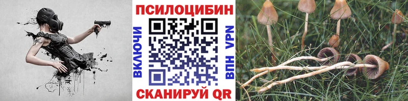 это официальный сайт  Спасск-Рязанский  Галлюциногенные грибы прущие грибы 